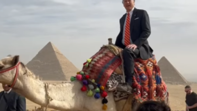 كريستوفر لاندو نائب وزير الخارجية الأمريكي حرص على ركوب الجمل خلال زيارته للأهرامات